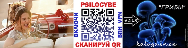 Галлюциногенные грибы ЛСД  blacksprut ТОР  Курчатов 