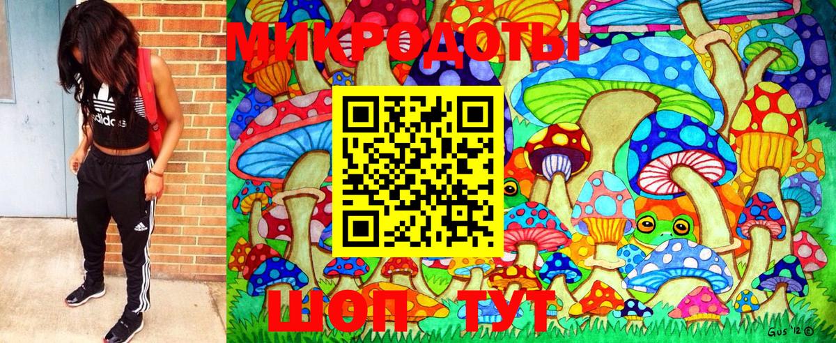 Курчатов  Псилоцибиновые грибы ЛСД  Псилоцибиновые грибы Cubensis  Вход с VPN 