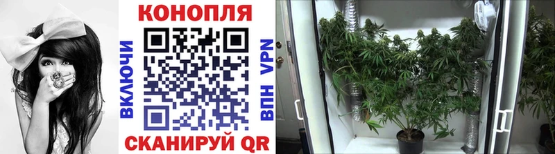 купить Курчатов Конопля тримм